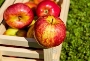 Jak uchovat jablka přes zimu bez chladné komory