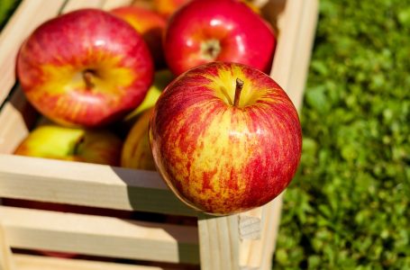 Jak uchovat jablka přes zimu bez chladné komory
