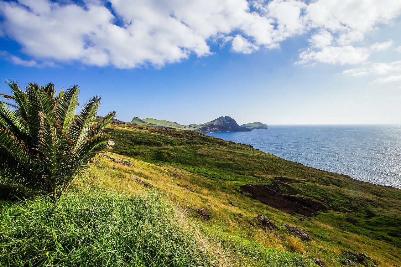 Madeira je trvale zeleným ostrovem